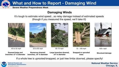 What & How to Report - Damaging Wind