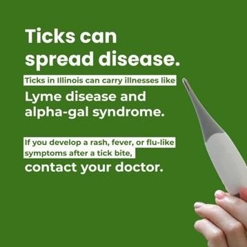 Tick 2026 g
