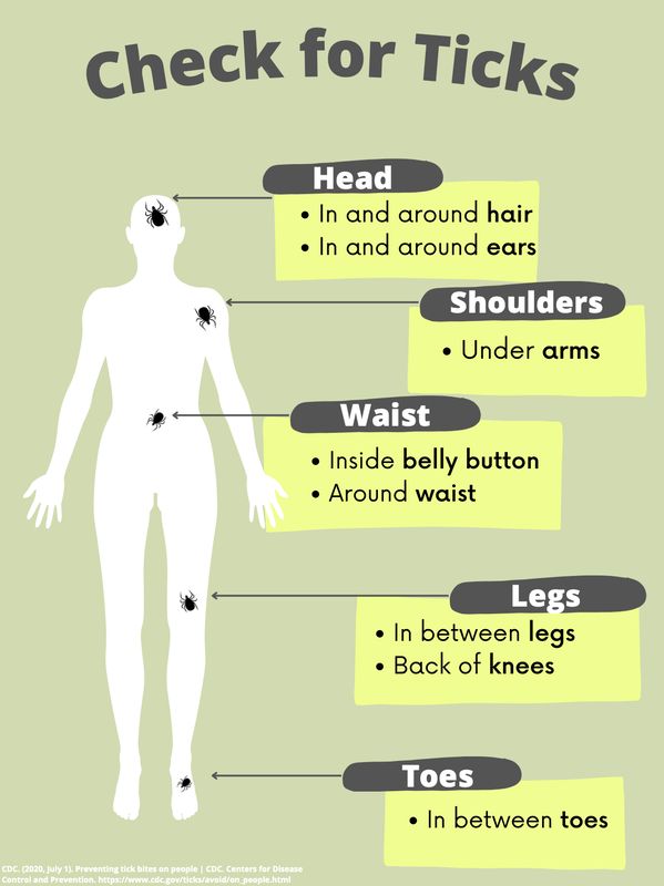where to check for ticks